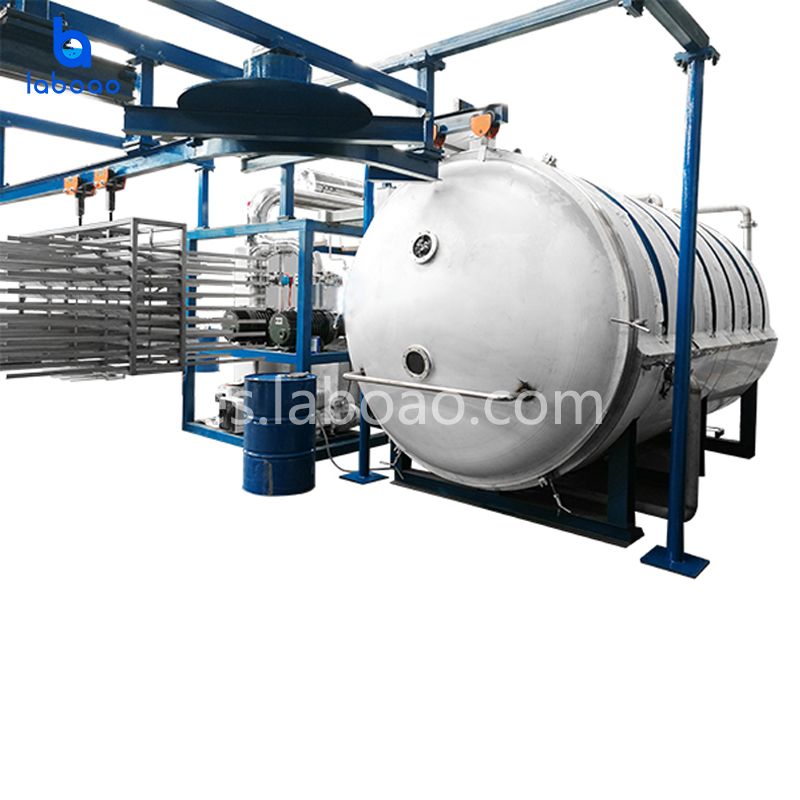 Máquina secadora por congelación al vacío grande de 500 kg para frutas