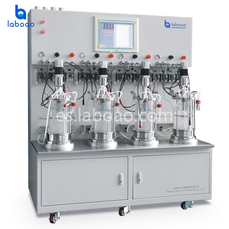 Esterilización externa Cuatro biorreactores de vidrio unidos