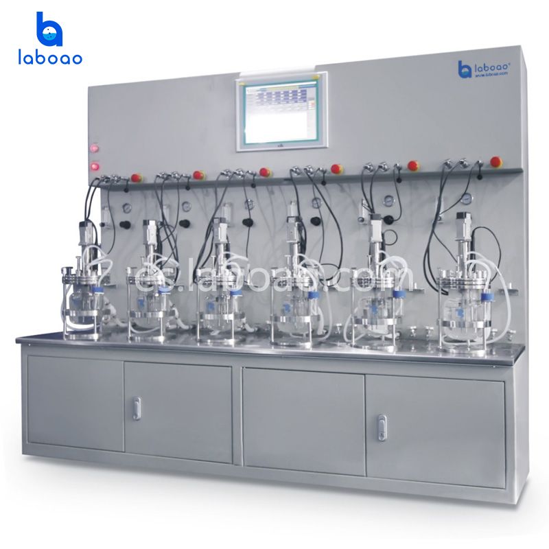 Esterilización externa Seis-doce biorreactores de vidrio unidos