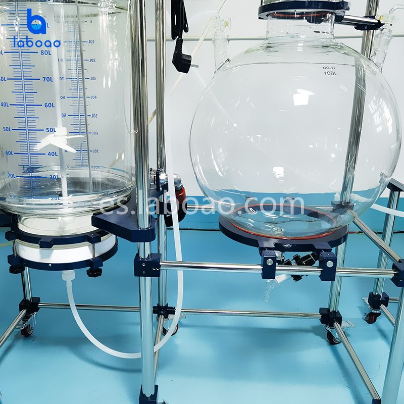 Reactor de vidrio revestido con filtro de cristalización 100L
