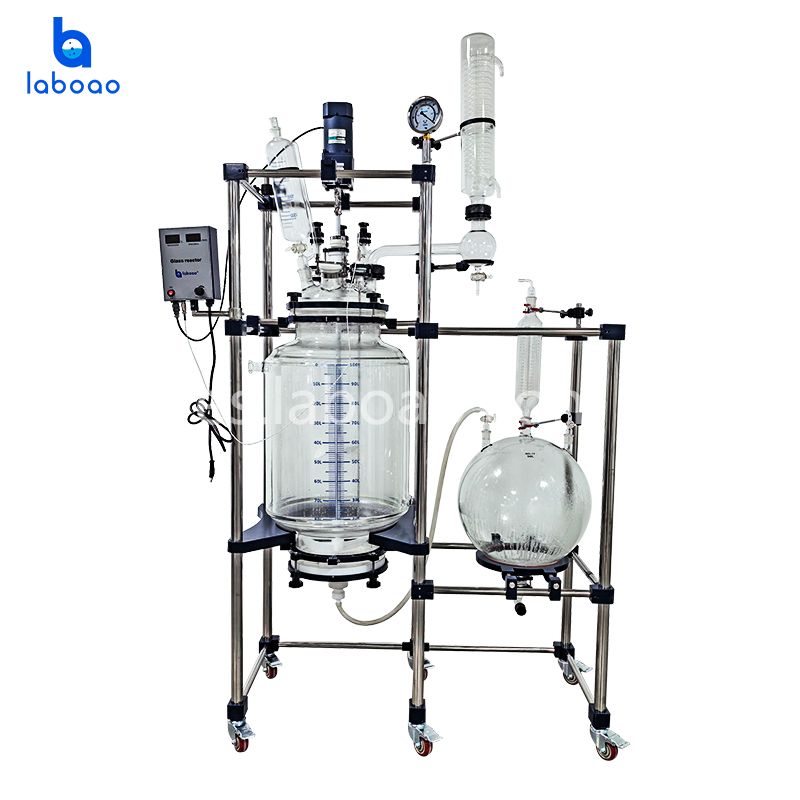 Reactor de vidrio revestido con filtro de cristalización 100L