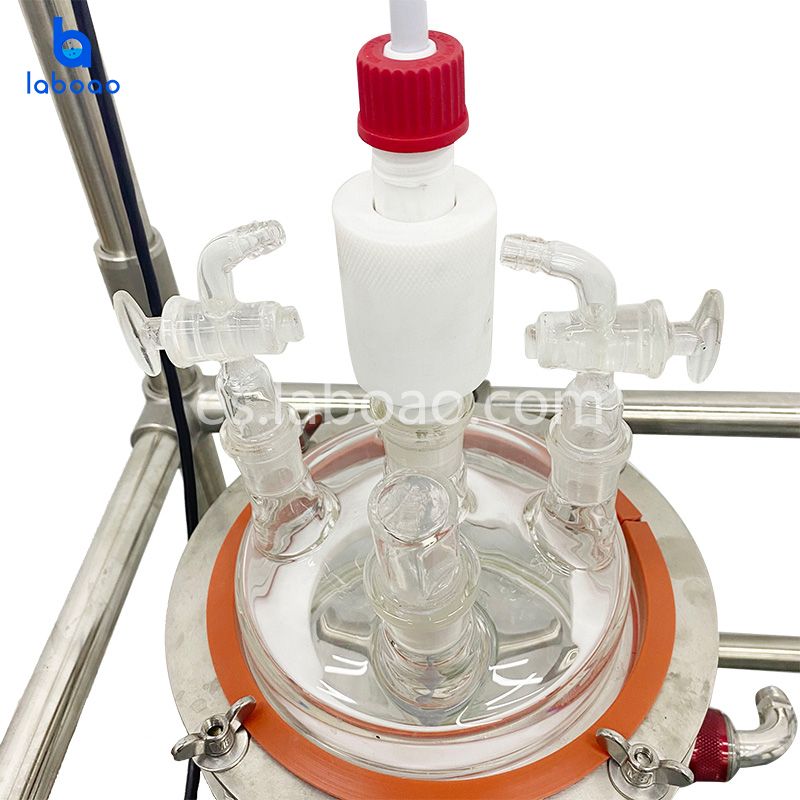 Reactor de filtro de cristalización de vidrio revestido de 1L-5L