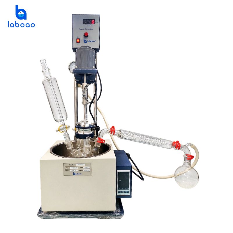 Reactor de vidrio de una sola capa 1L