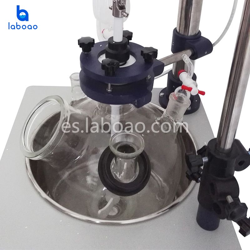 Reactor de vidrio de una sola capa de 20L