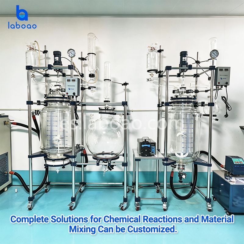 Reactor de filtro de cristalización de laboratorio de 50L 80L para aislado de CBD
