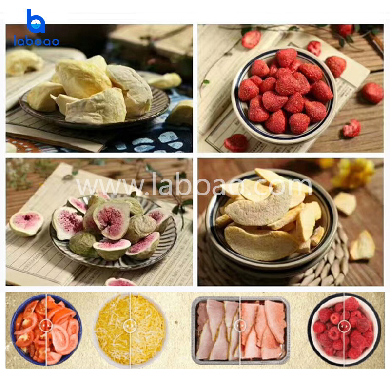 4-6kg pequeño liofilizador de alimentos