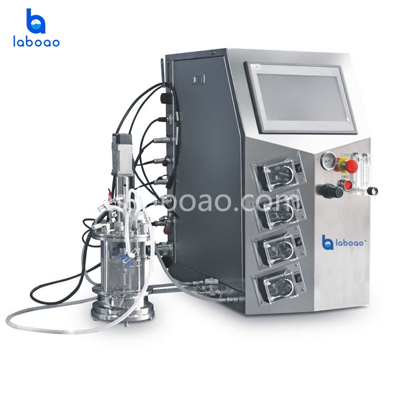 Mini biorreactor 0.1L-1L