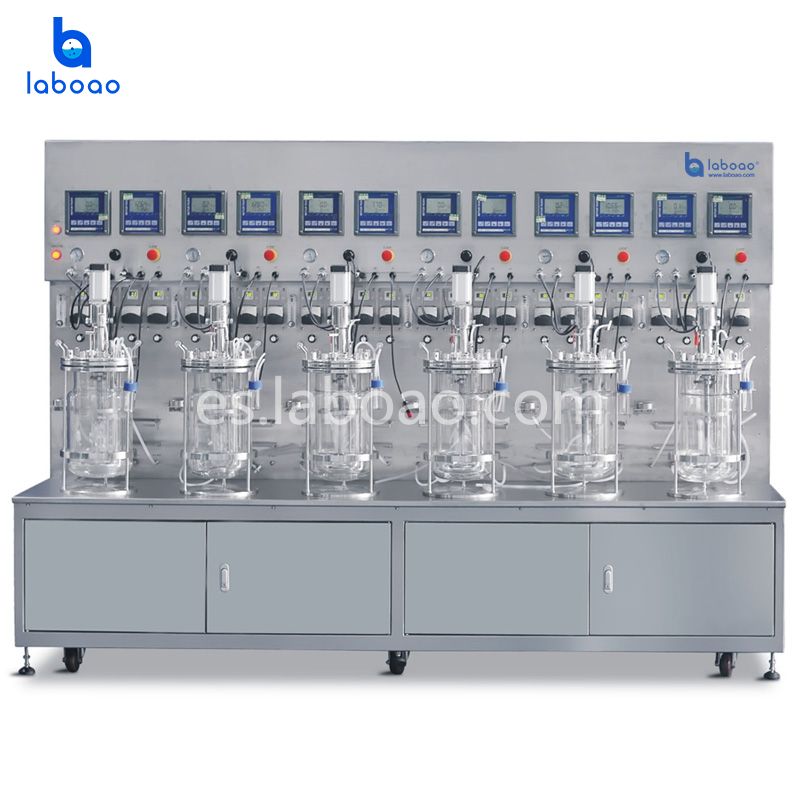 Esterilización externa Seis-doce biorreactores de vidrio unidos